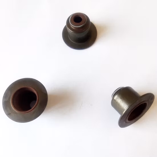 NBR, EPDM, HNBR, Silicone, NR Rubber Oil Seal for Hydraulic Machinery